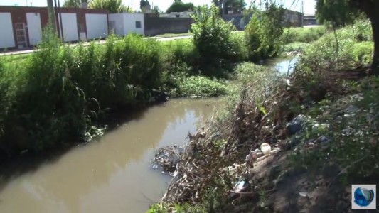 Zona sur: Canales sin mantenimiento y repletos de basura