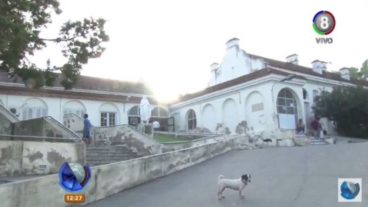 Inseguridad dentro del hospital: Quisieron robar en el quirófano del Misericordia