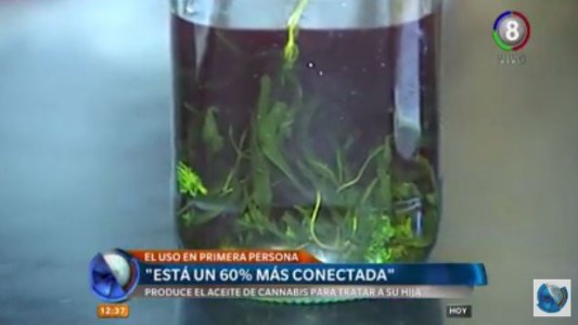 El testimonio de una familia que utiliza el aceite de Cannabis con fines medicinales
