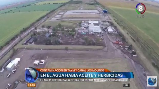 Desborde en Taym: Los primeros análisis confirman contaminación con aceites y herbicidas