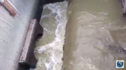 Bajo Grande: Para el municipio, el agua recibe el tratamiento adecuado