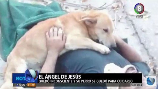 Viral: Quedó inconsciente y su perro se quedó para cuidarlo