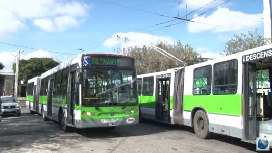 Operadoras de trolebuses denuncian vaciamiento de la empresa