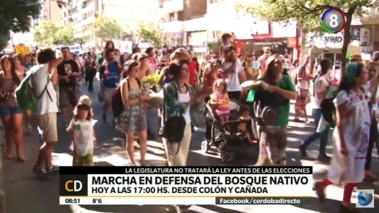 Este miércoles habrá una nueva marcha en defensa del bosque nativo