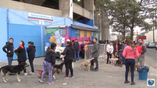 Hubo demoras y quejas en el centro de castración gratuito en barrio Alberdi