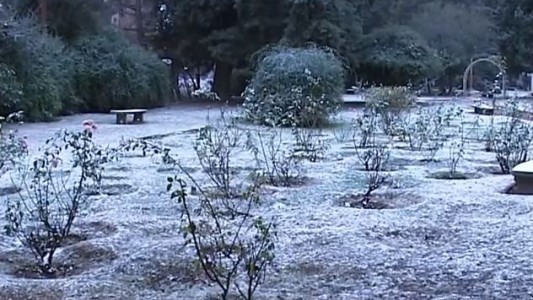 Hace 10 años, Córdoba se teñía de blanco tras una intensa nevada