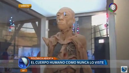 Polémica por la muestra de anatomía en el Centro Cultural Córdoba