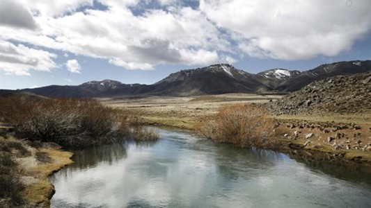 Caso Maldonado: Resultado negativo en las excavaciones a la vera del río Chubut