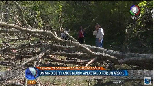 Tragedia en Unquillo: Un Scout de 11 años murió aplastado por un árbol
