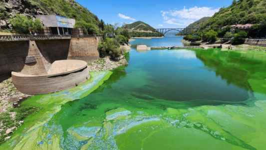 La UNC busca sanear el Dique San Roque a través de imágenes satelitales y la reutilización de algas