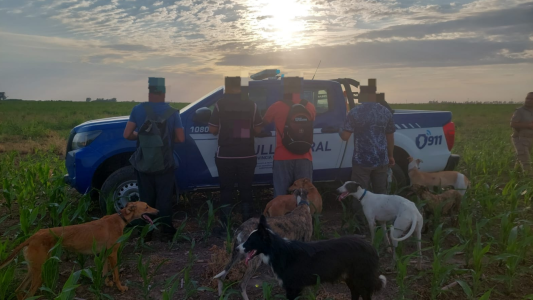 Caza ilegal en San Basilio: demoraron a tres hombres y rescataron siete perros