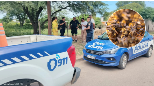 Un hombre murió tras ser atacado por un enjambre de abejas en el norte de Córdoba