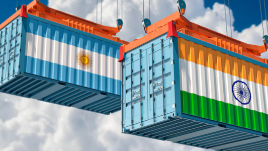 Argentina se consolidó como principal proveedor de aceites vegetales para India en 2025