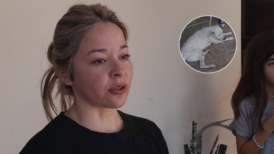 Un perro evitó que atacaran y robaran a una vecina de Malagueño