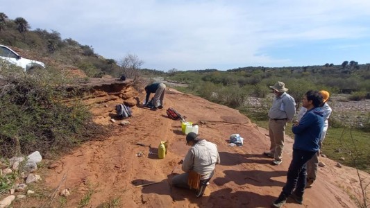 Hallazgo histórico en Córdoba: descubren un fósil óseo de más de 100 millones de años en Ongamira