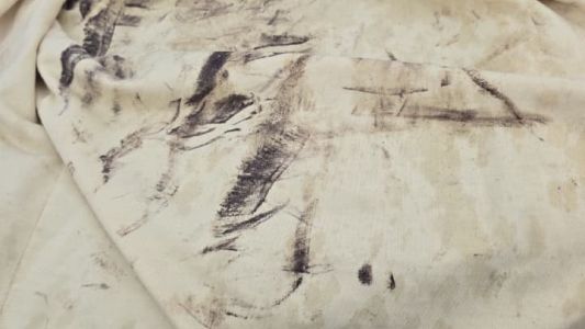 Detuvieron a un hombre en Parque San Antonio y descubrieron que circulaba en un auto con pedido de secuestro