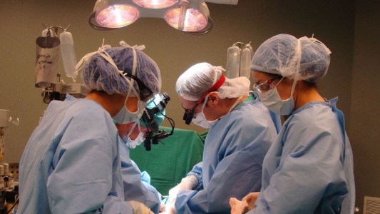 2025 marcó un récord histórico de donación de órganos y trasplantes en Argentina