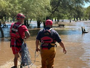 Rescate en Río Cuarto: bomberos salvaron a cuatro caballos atrapados por la crecida del río