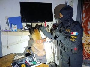 Desbaratan una banda familiar que vendía droga en Santa Rosa de Calamuchita