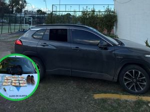 Detienen a un joven con 80 millones entre efectivo y cheques tras un robo en Córdoba