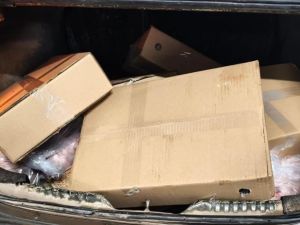 Detuvieron a un hombre por robar cajas de carne de un frigorífico en Morteros