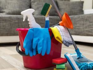 El Gobierno oficializó el aumento para empleadas domésticas y un bono de $20.000