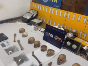 Hallan 10 cráneos humanos y plantas de marihuana durante un operativo antidrogas