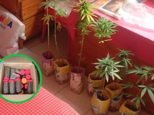 Villa María: asistían a un hombre en crisis y hallaron 10 kilos de marihuana