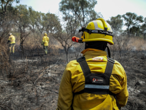 El Gobierno lanzó un nuevo Registro Nacional para agilizar el trabajo de los Bomberos