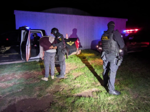 Río Tercero: cierran un búnker rural con más de 2.000 dosis de marihuana