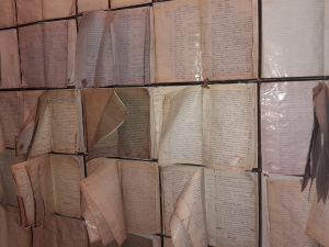 A 50 años del golpe de Estado: Argentina recuerda a las víctimas con marchas y homenajes