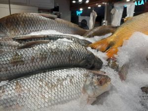 Semana Santa: la venta de pescado crece por precios estables y beneficios nutricionales