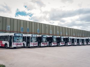 Cambios en el transporte: nuevos operadores y unidades más modernas en corredores 5 y 7