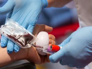 Cambio histórico en los Testigos de Jehová: habilitan autotransfusiones bajo decisión individual