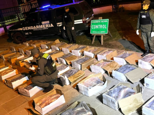 Córdoba: secuestran una tonelada de pescado transportado sin cadena de frío