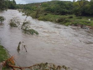 Alerta por crecidas en Córdoba: las lluvias superaron los 100 milímetros