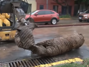 Las Flores: un socavón genera caos en el tránsito y pérdidas de ventas