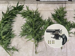 Amplio operativo en Río Cuarto: 29 detenidos y secuestro de armas, vehículos y objetos robados