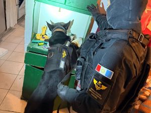 Allanamiento, detención y secuestro de drogas y dinero en Colonia Caroya, Córdoba
