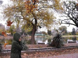Clima en Córdoba: habrá jornada fresca y sin precipitaciones