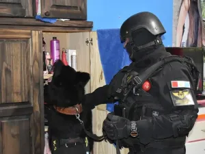 Banda narcocriminal: nueve detenidos por venta y distribución de drogas en Córdoba y Río Cuarto