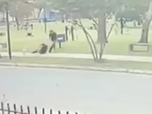 Brutal asalto en una plaza: atacó a una mujer por la espalda para robarle el celular