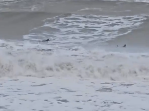 Temporal y olas de hasta siete metros causaron destrozos en la Costa Atlántica bonaerense