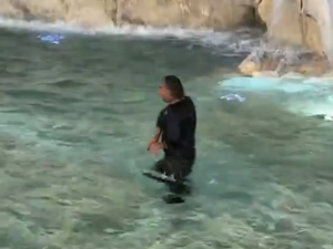 Un turista se metió a nadar en la Fontana di Trevi y fue multado por las autoridades