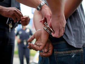Desarticulan una banda que robaba ganado y herramientas en zonas rurales