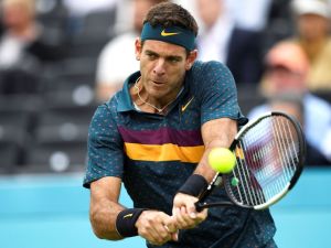 Robaron en la casa de Juan Martín del Potro en Tandil tras romper una ventana