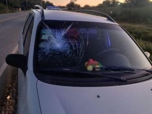 Un conductor salió ileso tras chocar contra un caballo en la Ruta Provincial 16