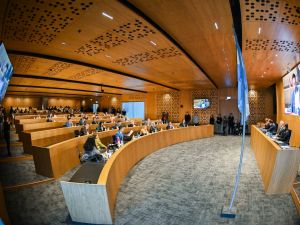 El Concejo Deliberante debatirá este jueves la regulación de los “naranjitas” en la ciudad