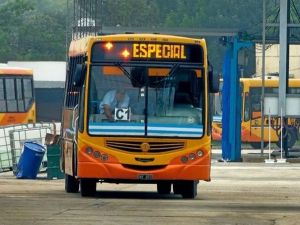 25 de mayo en Córdoba: qué servicios funcionan, cuáles no y cómo será el esquema municipal durante el feriado