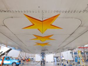 Aerolíneas presentó un avión inspirado en la Selección rumbo al Mundial 2026